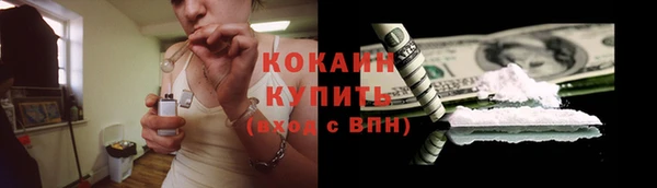 прущие грибы Нея