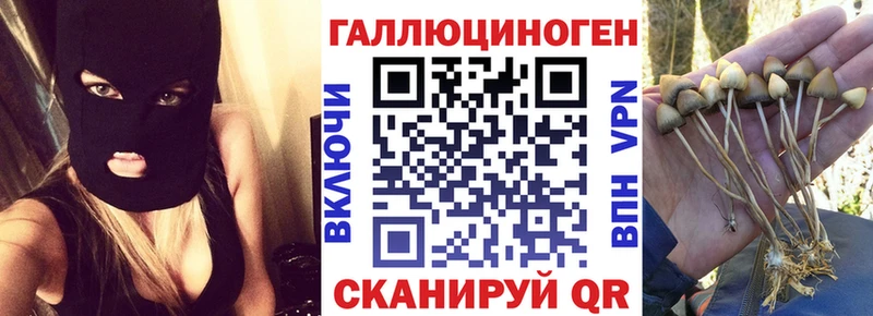 Галлюциногенные грибы Cubensis Новокубанск