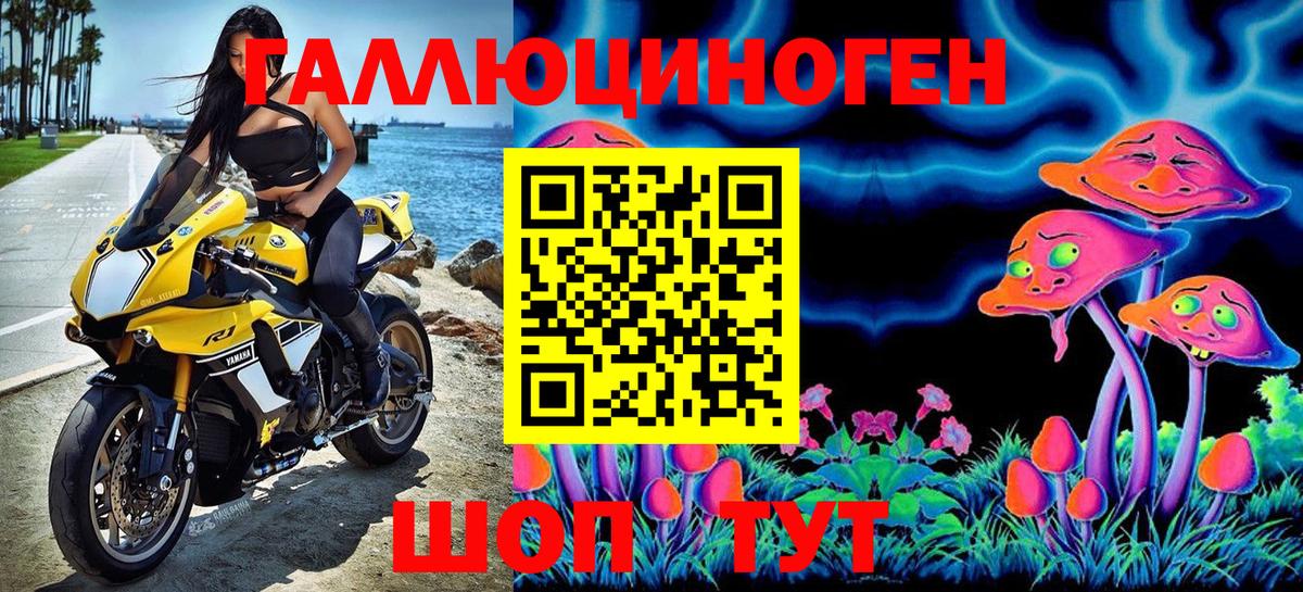 Галлюциногенные грибы Cubensis  Новокубанск 