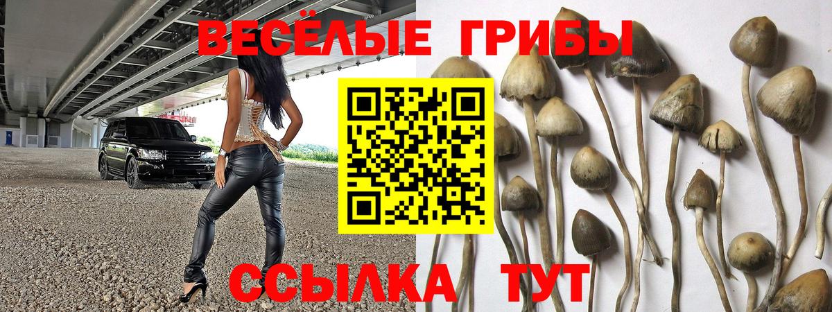 Галлюциногенные грибы MAGIC MUSHROOMS Новокубанск