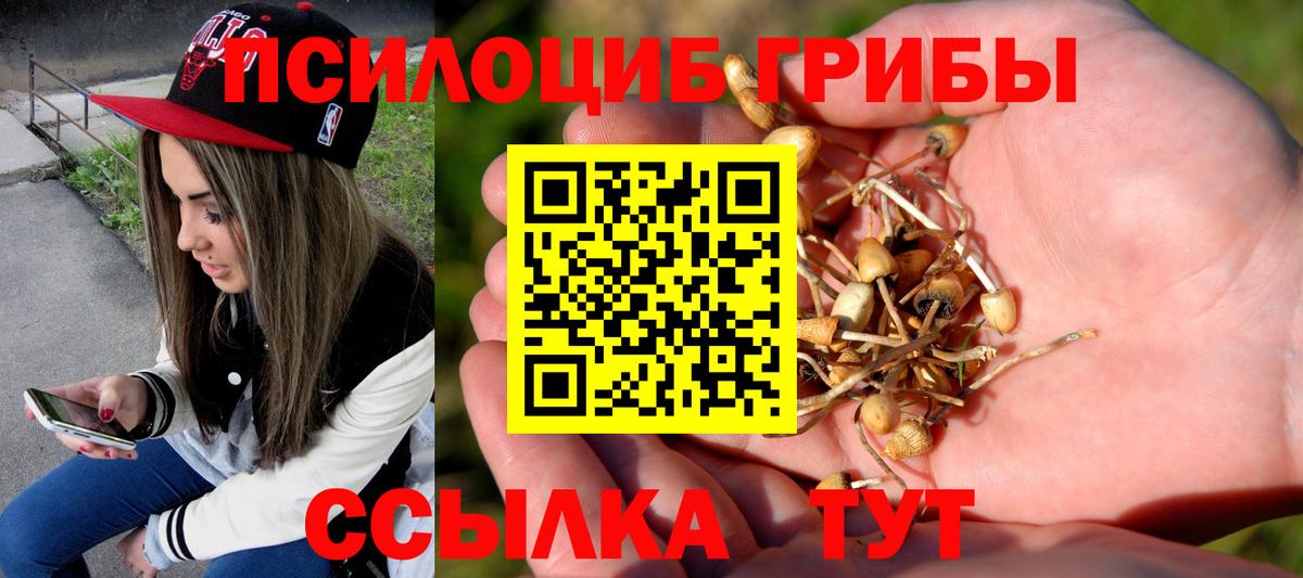закладка  Вход с VPN  Новокубанск  Псилоцибиновые грибы мухоморы 
