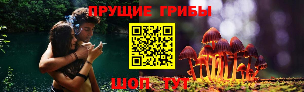 Галлюциногенные грибы Magic Shrooms Новокубанск